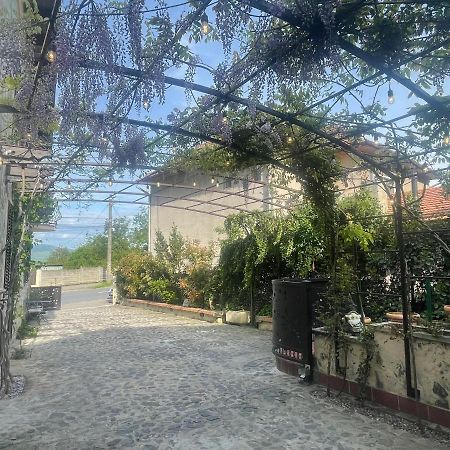 הוילה דבה Luxury House Teodora מראה חיצוני תמונה
